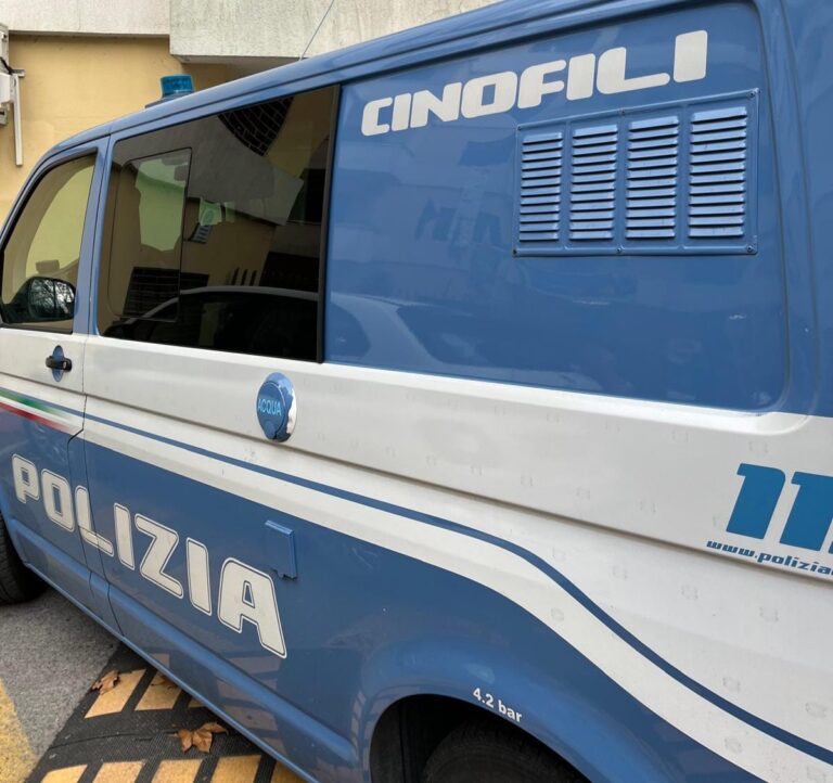 Controlli straordinari a Frosinone: pattuglie in campo tra centro e arterie principali