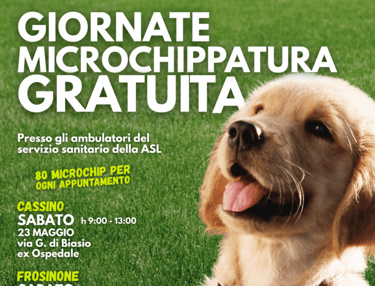 ASL Frosinone: tre giornate gratuite per la microchippatura dei cani contro il randagismo