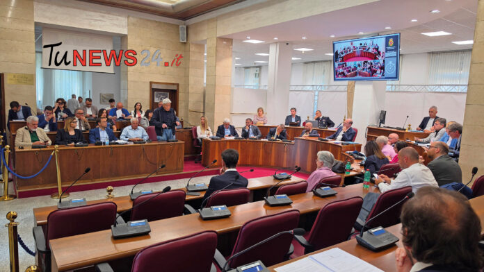 consiglio comunale frosinone