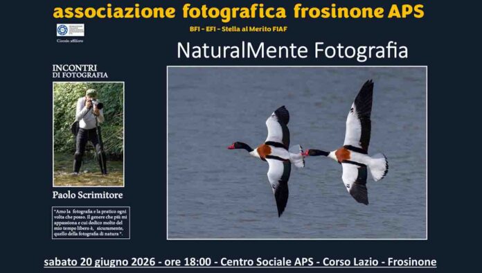 Frosinone – NaturalMente Fotografia