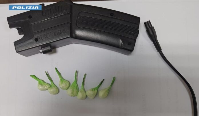 cassino polizia taser