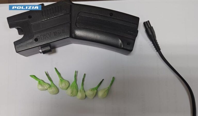 cassino polizia taser