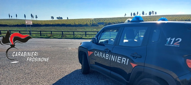 Lavori sotto il sole nonostante il divieto: due imprenditori denunciati dai Carabinieri