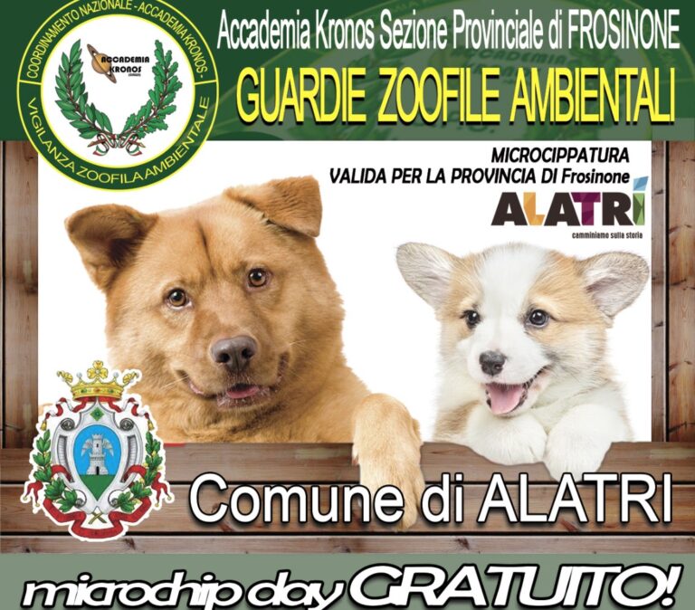 Alatri, giornata di microchippatura gratuita per cani: appuntamento sabato 11 luglio