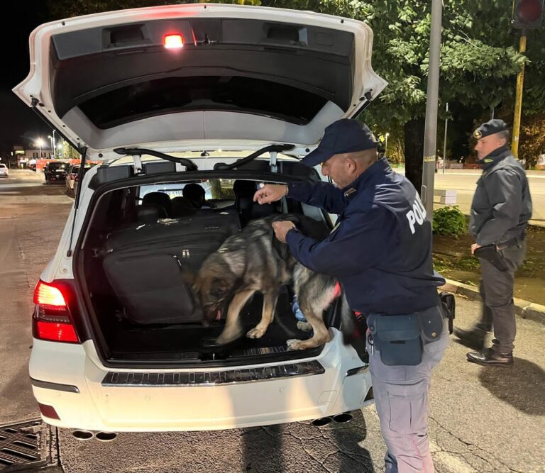 Controlli straordinari a Frosinone: oltre 100 grammi di cocaina e 90 di hashish sequestrati