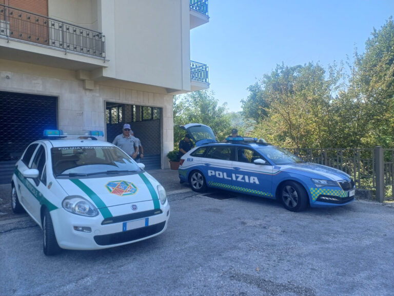 Frosinone, controlli sulle strade: 67 violazioni e due patenti ritirate