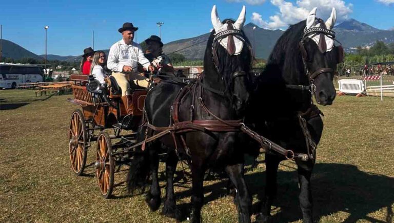 Ceccano a Cavallo