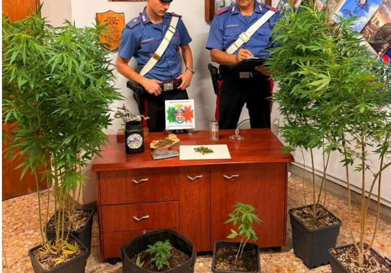 sgurgola droga carabinieri